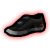 Shoes-MecoBiology2-icon.png