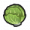 Tree-IcebergLettuce-icon.png