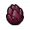 Tree-seed14-icon.png