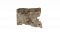 资料碎纸-他是觉醒之人.png