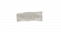 资料碎纸-P号码.png