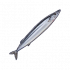 秋刀鱼.png
