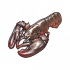 龙虾.png