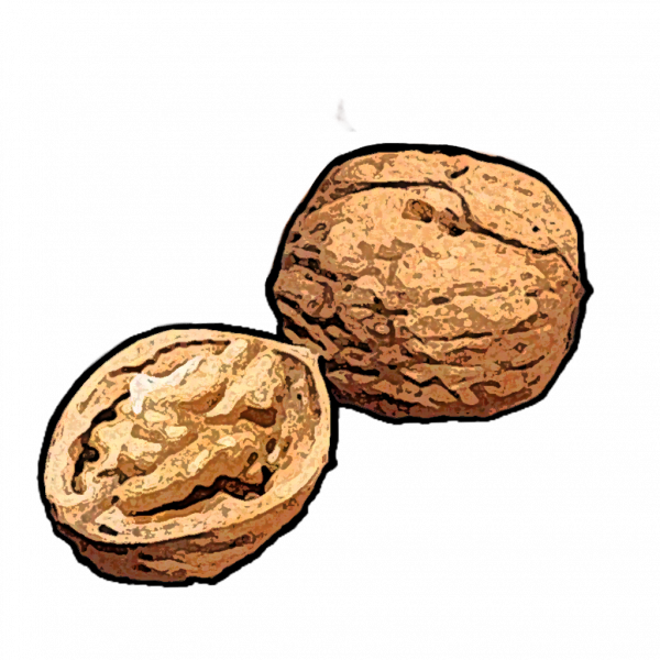 文件:收藏品核桃.png