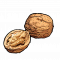收藏品核桃.png