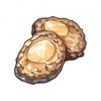 鲍鱼.png