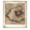 收藏品照片-怀表“命运之轮”.png