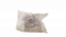 资料碎纸-？.png