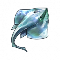 鳐鱼.png