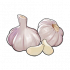 蒜.png