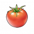 番茄.png