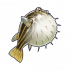 河豚.png
