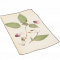 收藏品牵牛花书签.png
