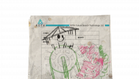 资料碎纸-半张报告书.png