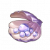 珍珠.png