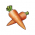 胡萝卜.png