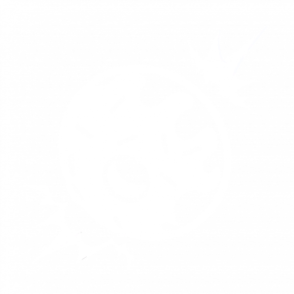 文件:派对狂欢.png