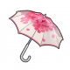 樱花雨伞.png