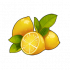 柠檬.png