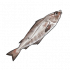 黑线鳕.png