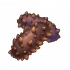 海参.png