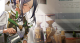 映像-065.png