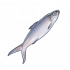 虱目鱼.png