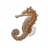 海马.png