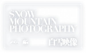 极地摄影logo.png