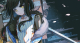 映像-082.png