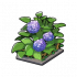 花店花球.png