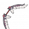 天使之弓.png
