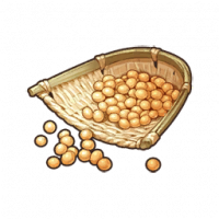 大豆.png