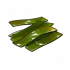 海带.png