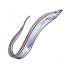 带鱼.png