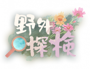 野外探索logo.png
