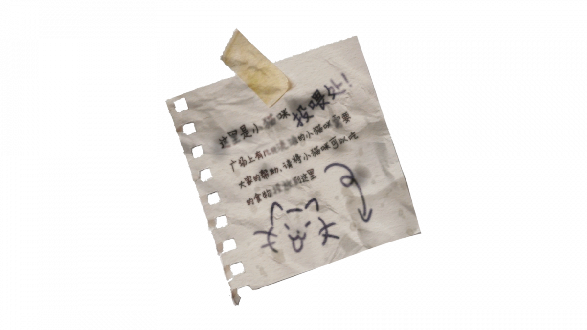 资料小猫咪投喂处.png
