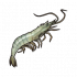 虾.png