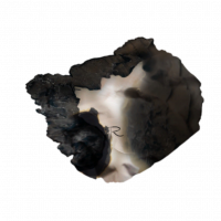 收藏品纸条-烧毁的纸片.png