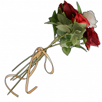 收藏品玫瑰花.png