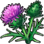 Herb thistle icon.png