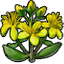 Herb hypericum icon.png