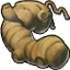 Herb ginger icon.png