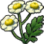 Herb feverfew icon.png