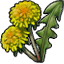 Herb dandelion icon.png