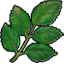 Herb elderberry icon.png