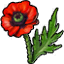 Herb poppy icon.png