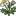 Herb chamomile icon.png