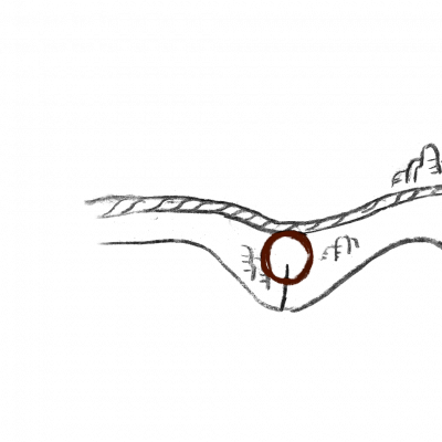 Poi podseminstiDrevorbci treasureMap1 ui.png