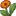 Herb marigold icon.png